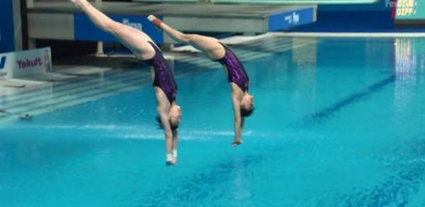 plongeon