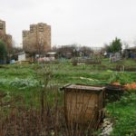 jardins-ouvriers-des-vertus-aubervilliers-olivia-kouassi-jardins-ouvriers-des-vertus-aubervilliers