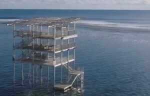 Image - La tour des juges de surf à Tahiti prête avec deux semaines d’avance
