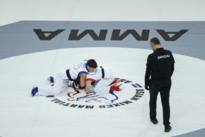 Image - Le MMA, un petit nouveau aux grosses ambitions